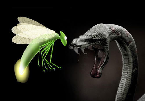 L’invidia… la leggenda del serpente e la lucciola